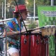 carlos santana - tribute band