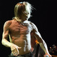 iggy and the stooges (usa)