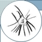ov-kluby