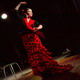 flamenco v templu