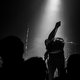 kill the dandies!, dead dog legacy