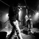 kill the dandies!, dead dog legacy