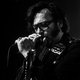 kill the dandies!, dead dog legacy
