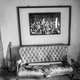 valdemar bednarz: obscene extreme, the owls, belly error