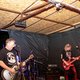 vzdor fest XII.