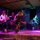 vzdor fest XII.